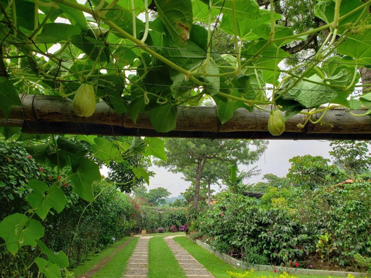 Villa Castillo De Ensueno Concepcion de Ataco Ngoại thất bức ảnh